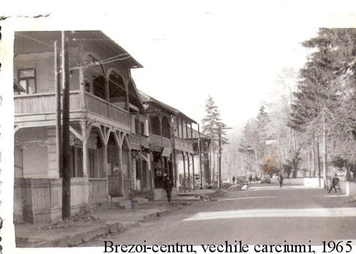 Fotografii Brezoi Vechi